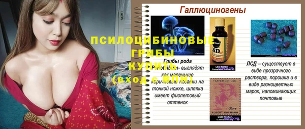 дмт Зеленокумск